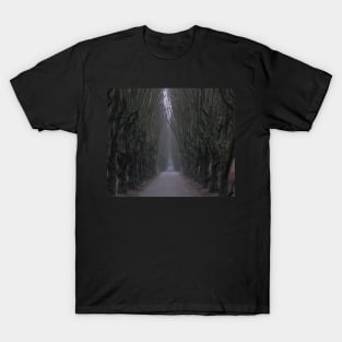 Gloomy path T-Shirt